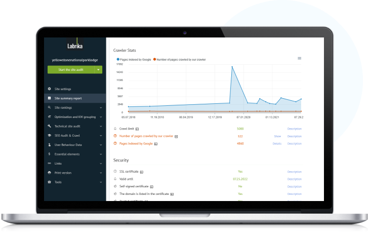 Auditor de SEO com IA